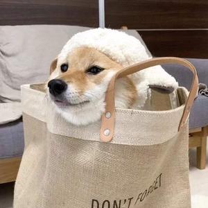 国产精品自在线拍
